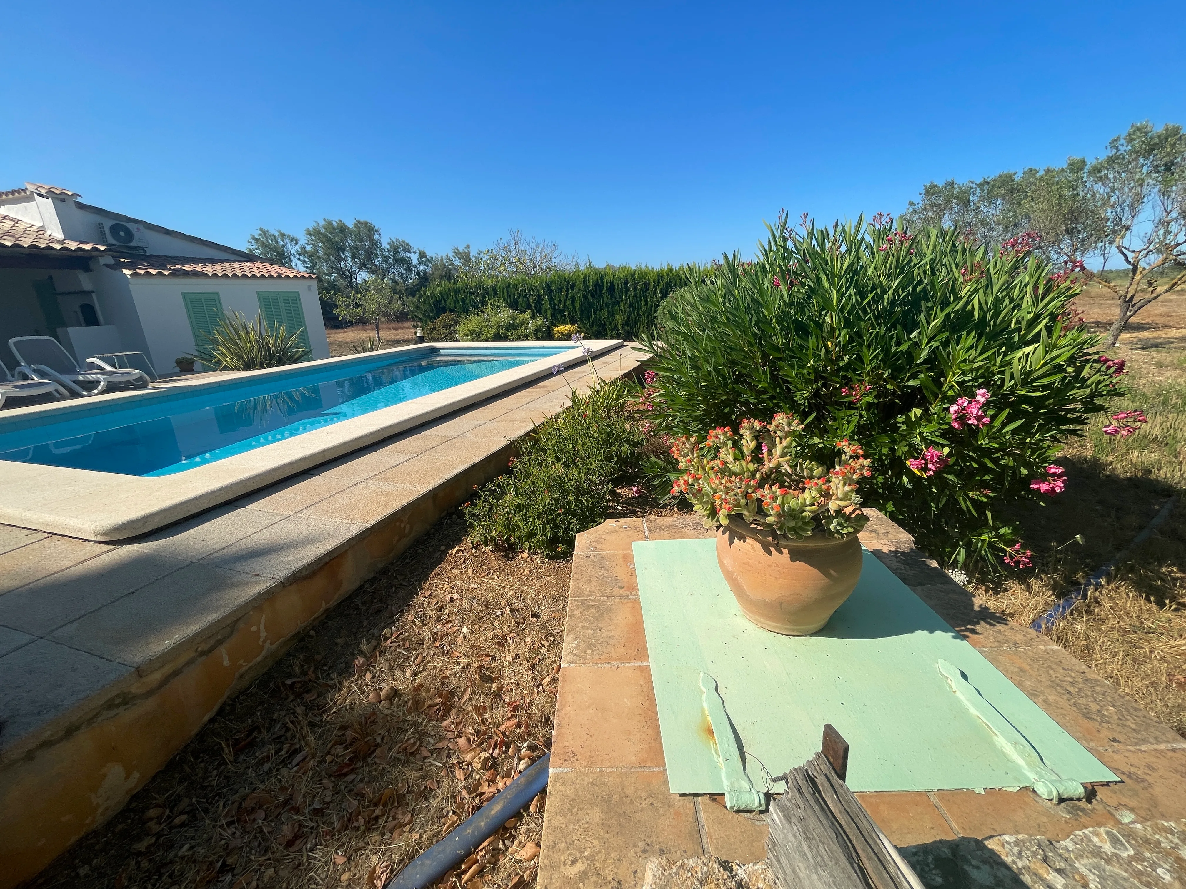 Can Picarol — foto 021_piscina