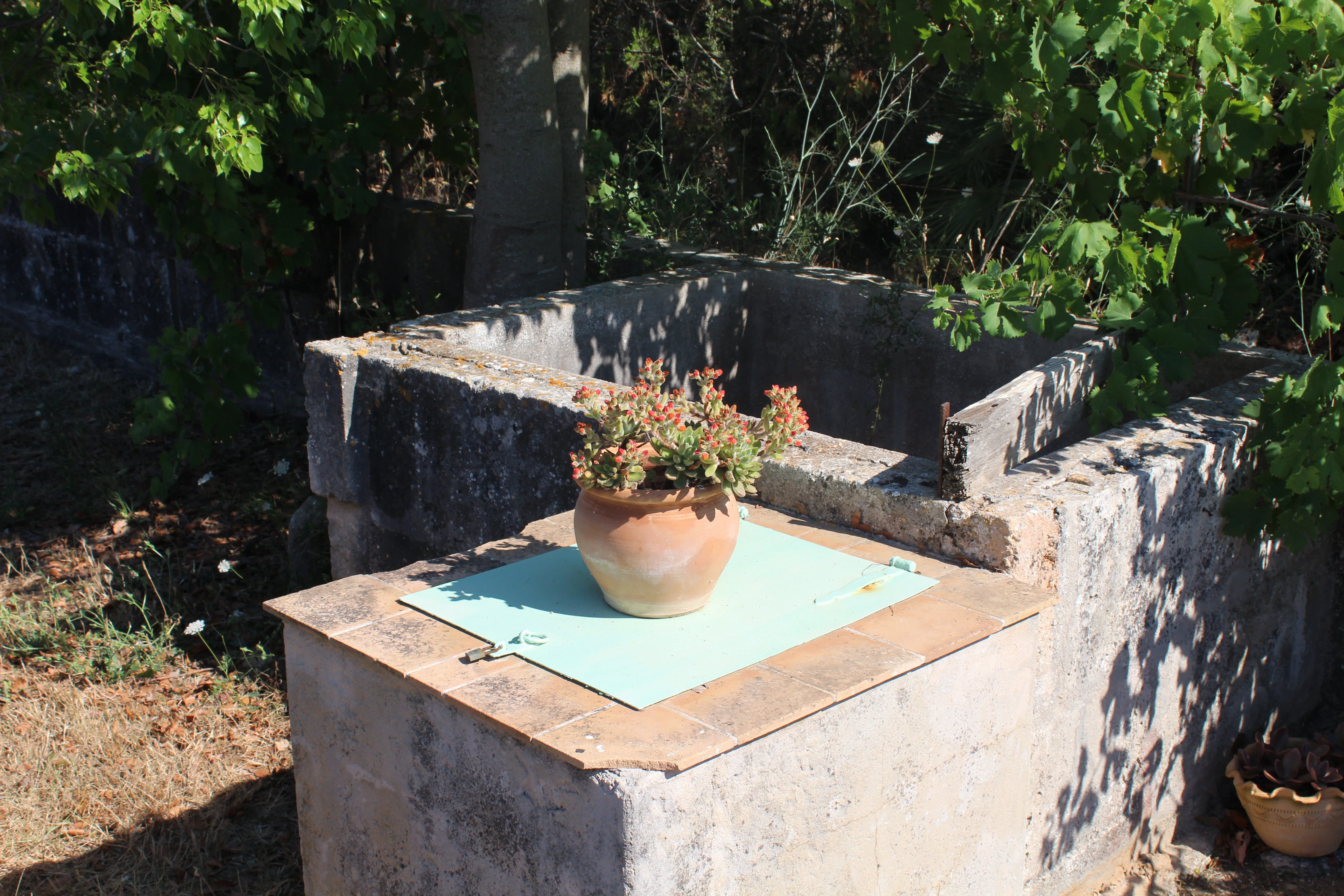 Can Picarol — foto 035_outside