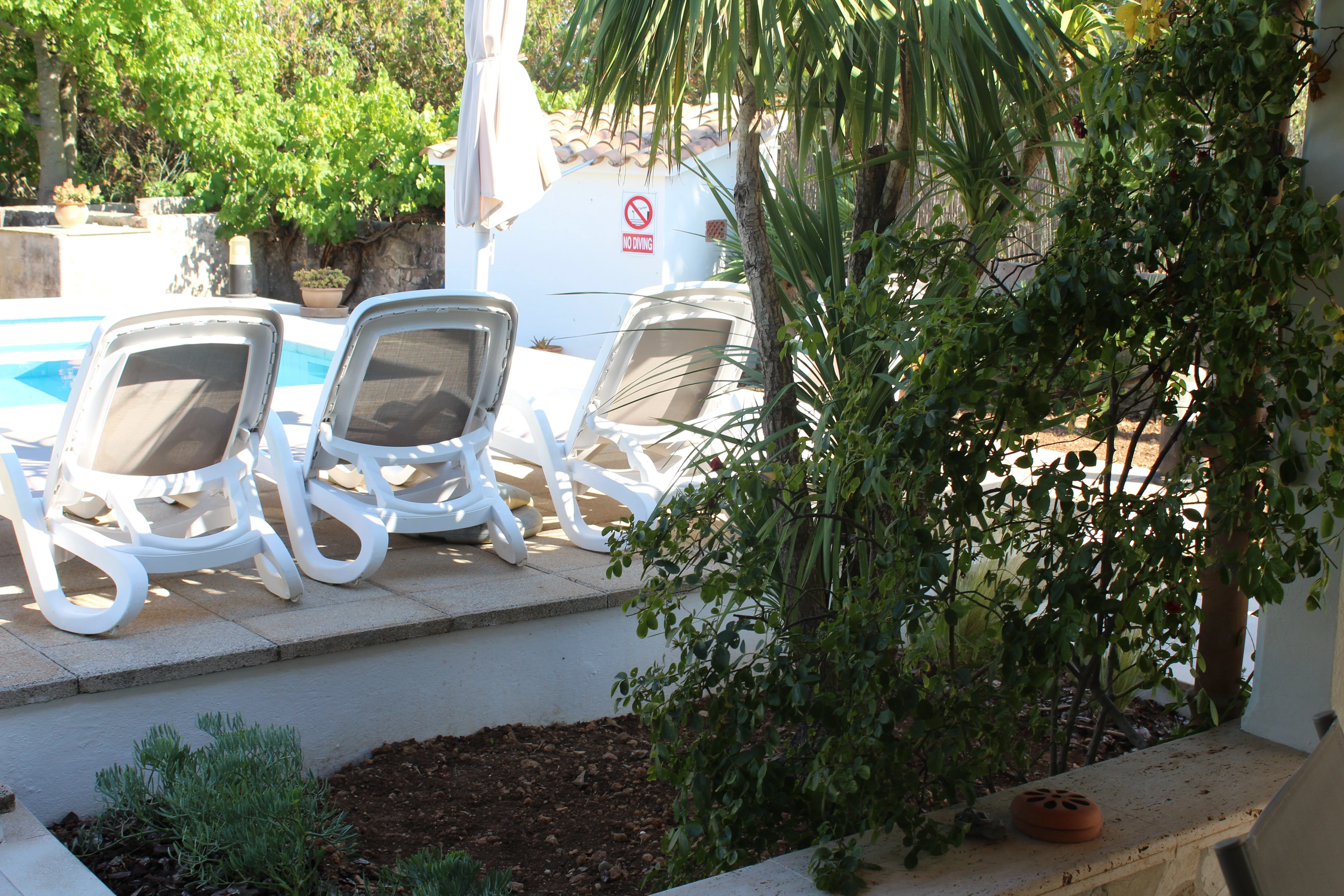 Can Picarol — foto 041_terraza