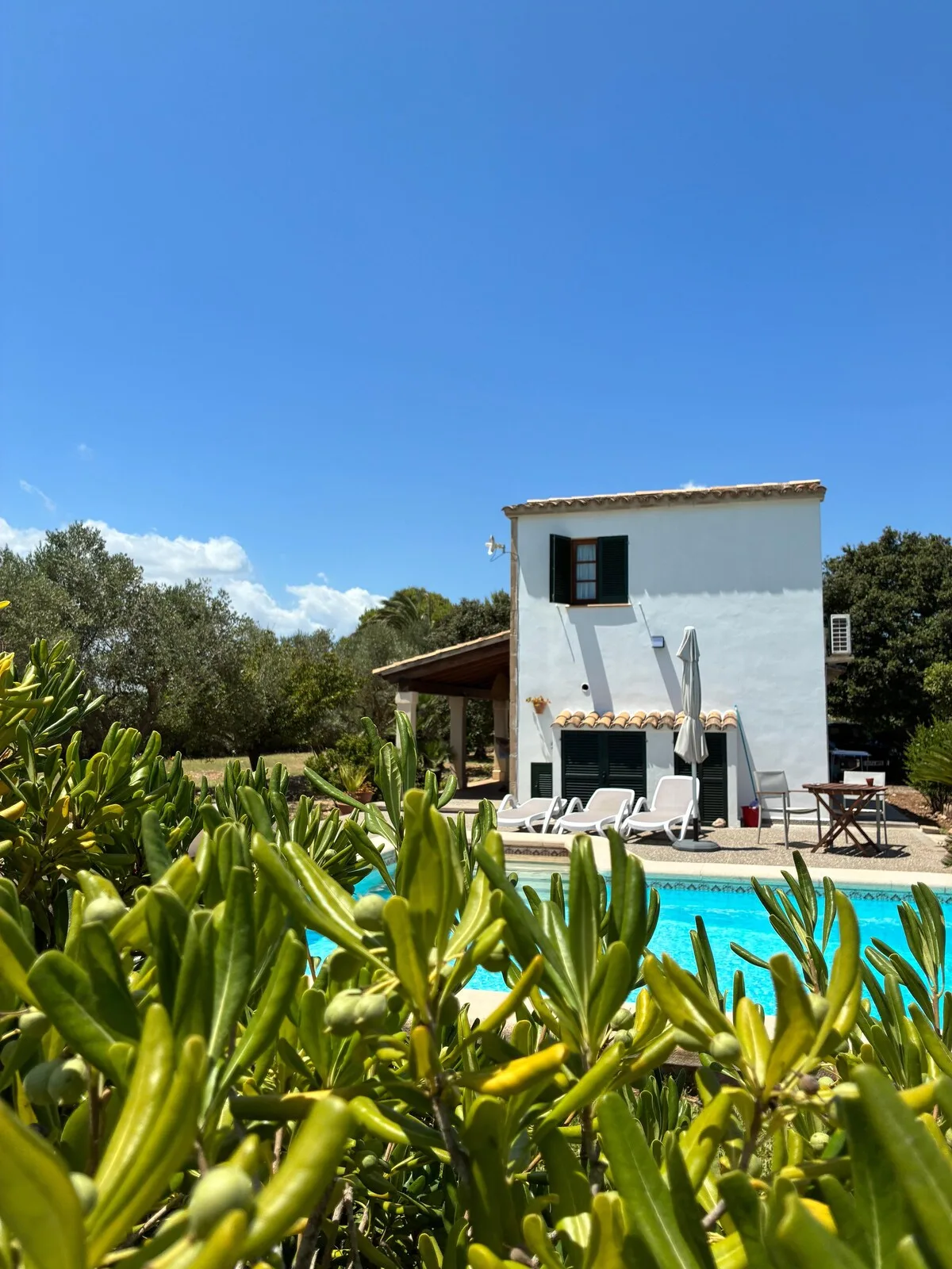 Picarol Petit — foto 002_outside