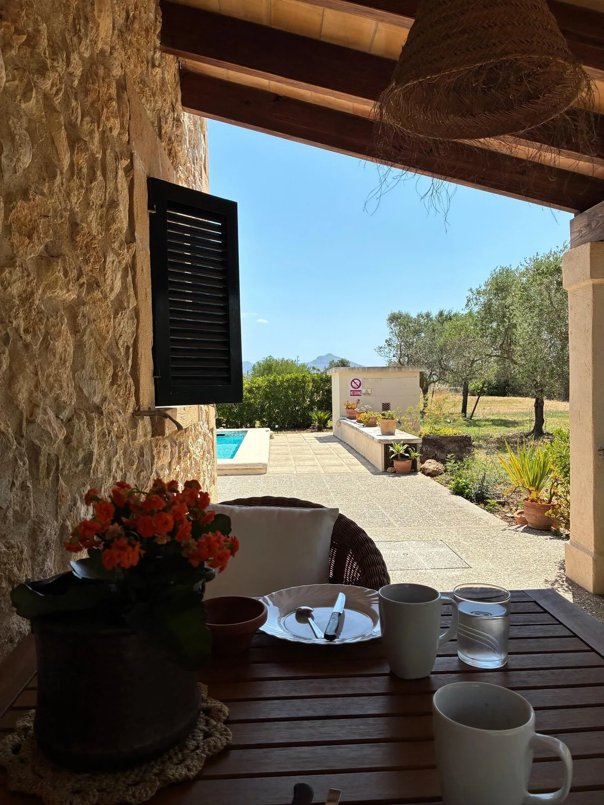 Picarol Petit — foto 003_porxo