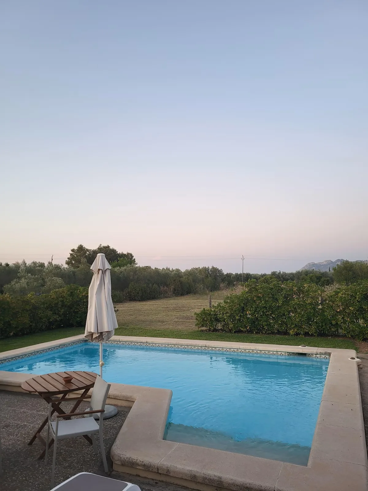 Picarol Petit — foto 016_pool
