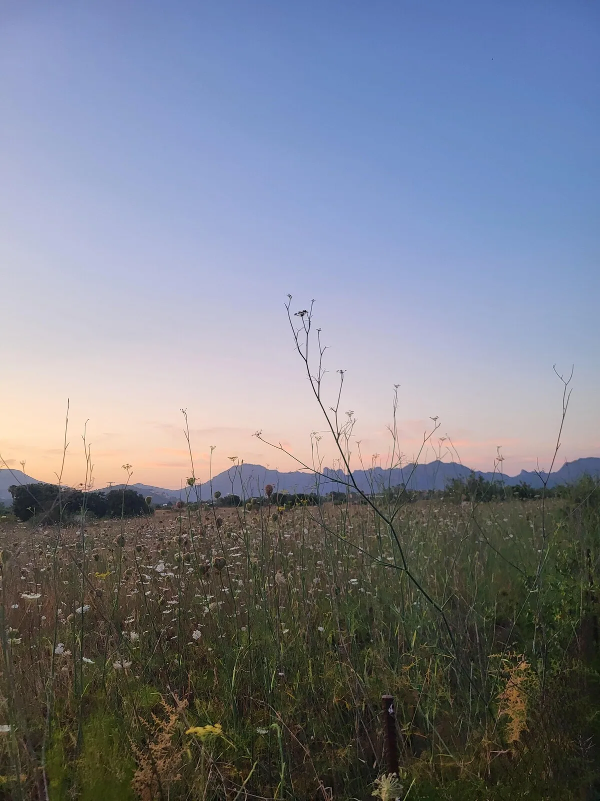 Picarol Petit — foto 017_outside