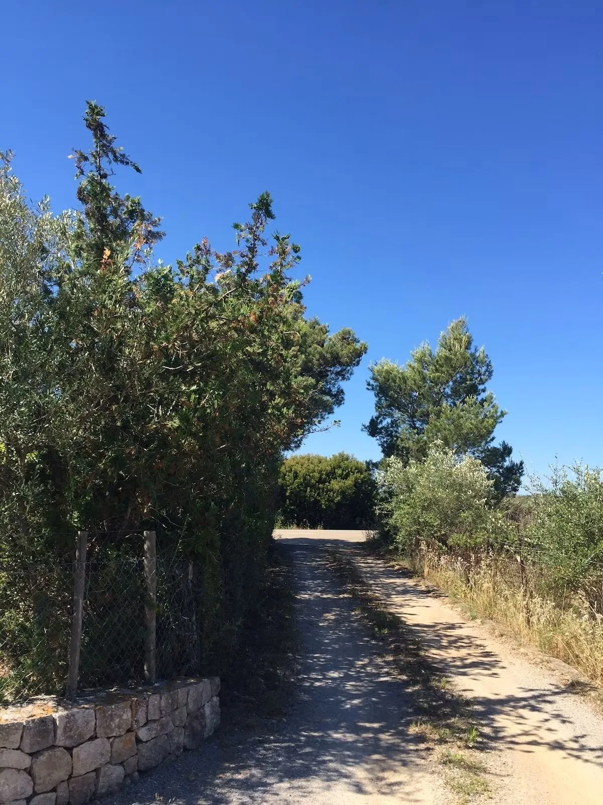 Picarol Petit — foto 026_outside